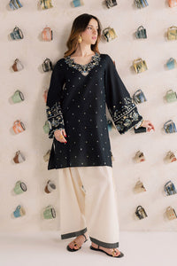 BATIK-2PIECE DHANAK EMBROIDERED SHIRT WITH DHANAK EMB SLEEVES-BIC-15010