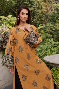 BATIK-2PIECE DHANAK EMBROIDERED SHIRT WITH DHANAK EMB SLEEVES-BIC-15018