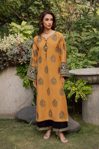 BATIK-2PIECE DHANAK EMBROIDERED SHIRT WITH DHANAK EMB SLEEVES-BIC-15018