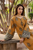 BATIK-2PIECE DHANAK EMBROIDERED SHIRT WITH DHANAK EMB SLEEVES-BIC-15018